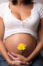 Pregnancy